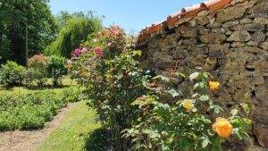 visite de jardin en Vendée