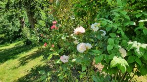 visite de jardin en Vendée