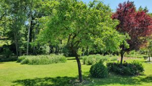 visite de jardin en Vendée